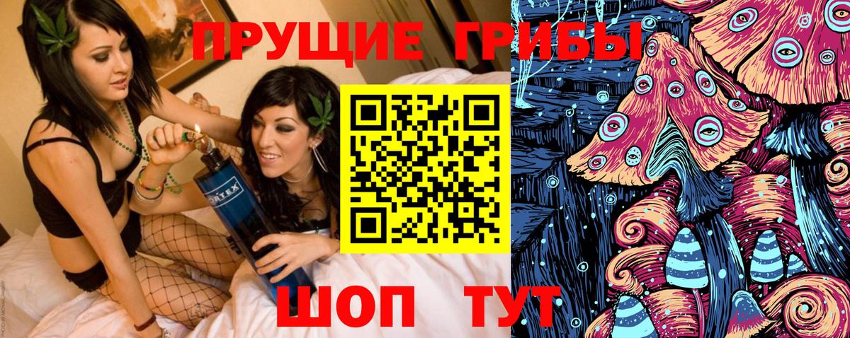 Псилоцибиновые грибы GOLDEN TEACHER Томск